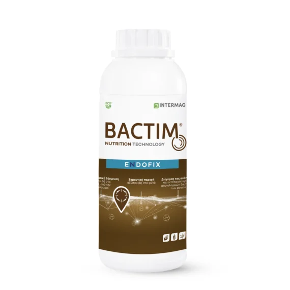 BACTIM ENDOFIX 200ML
