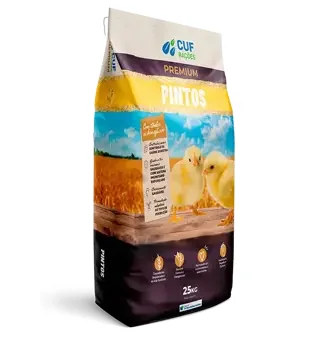 BELPINTO PLUS