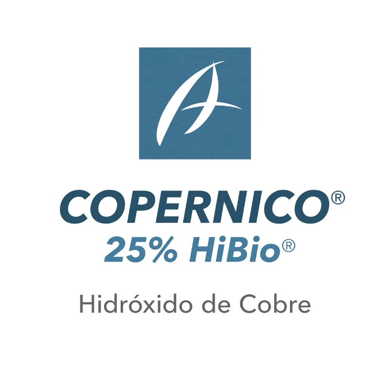 COPÉRNICO HIBIO *250G*